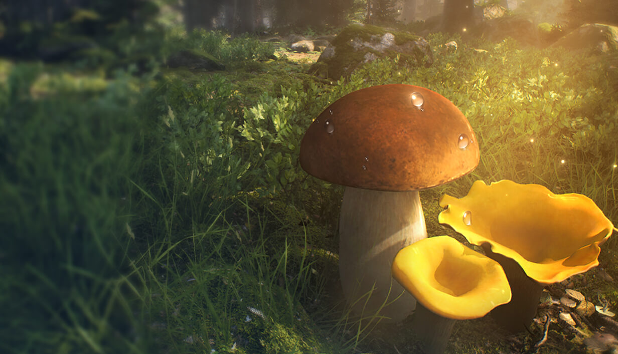 Mushroom Hunter Simulator Banner Image