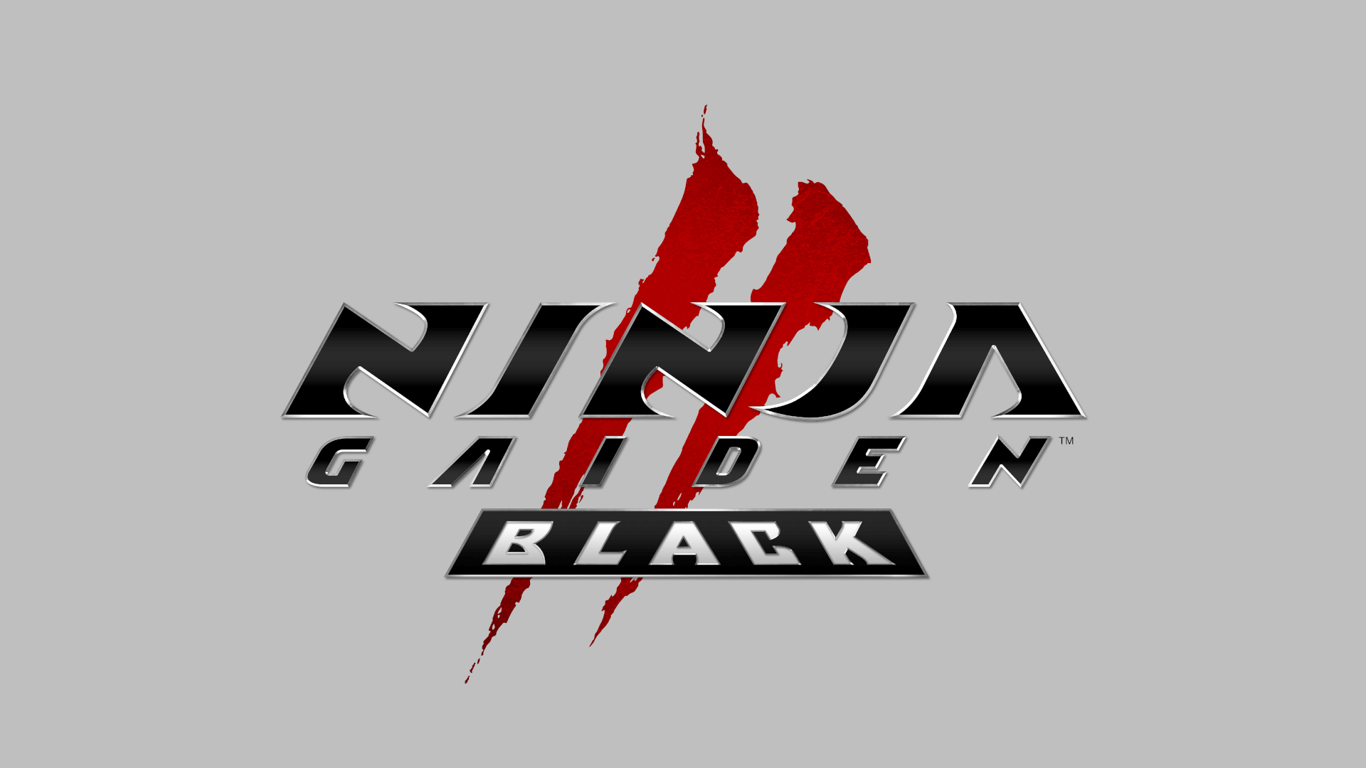 NINJA GAIDEN 2 Black Banner