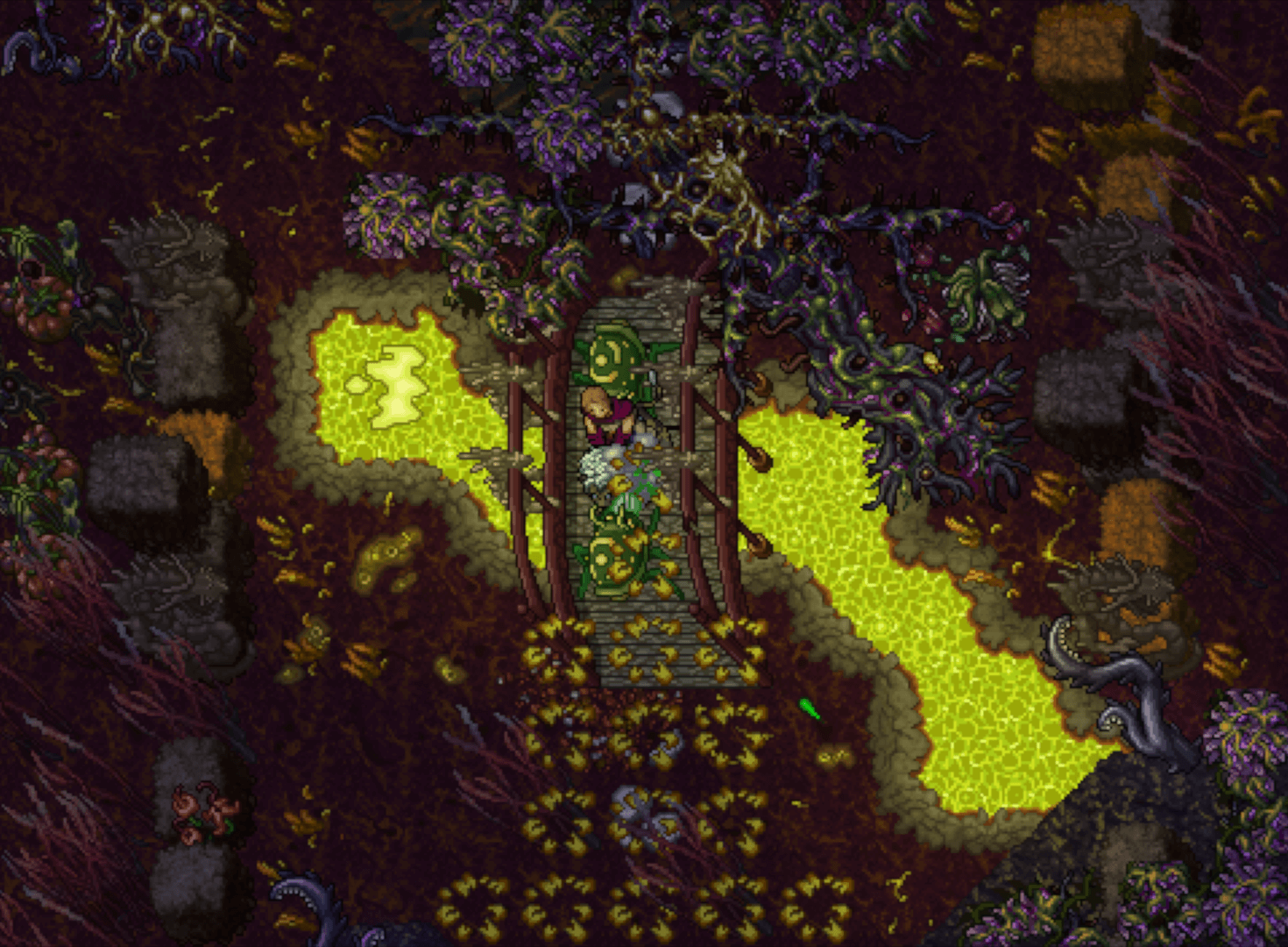 Tibia Screenshot Image